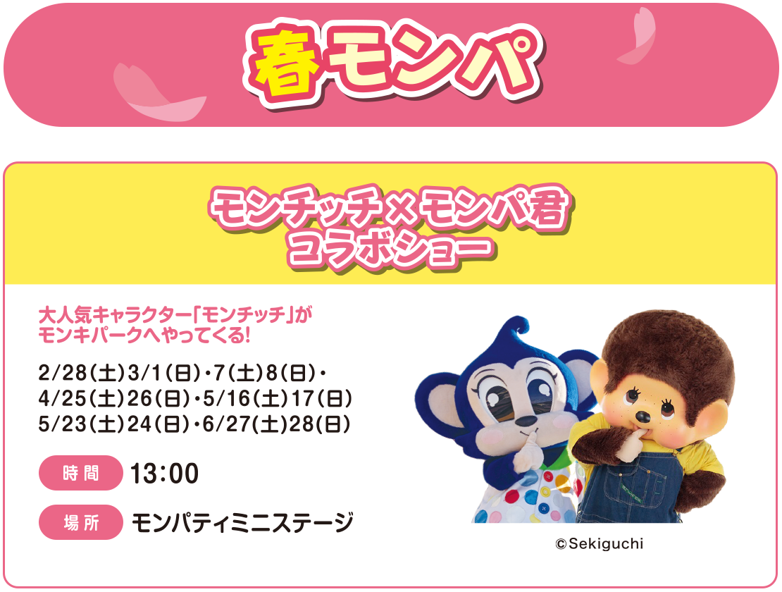 春モンパ